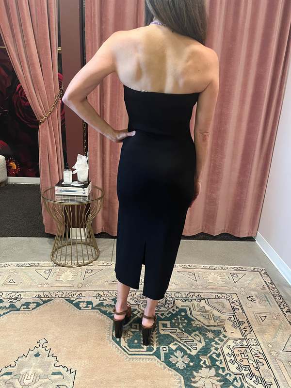 Anine Bing Rosa Dress | Garmentory