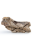 Maison Avenir Dinosaur Bone Fossil - Thumbnail 1