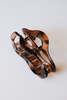 Pipe & Row Large Oval Hair Claw - Tortoise - Thumbnail 2