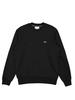 Lacoste Sweater - Black - Thumbnail 1