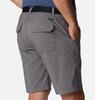 Columbia Shorts - City Grey - Thumbnail 1