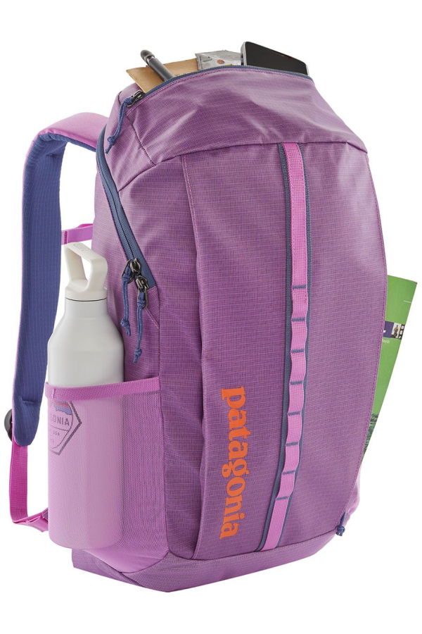 Patagonia Black Hole Pack 25L Backpack