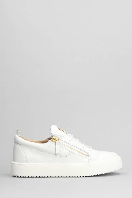 Giuseppe Zanotti