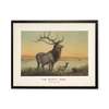 Antique Curiosities The Wapiti Deer Scene Framed Art Print - Thumbnail 1