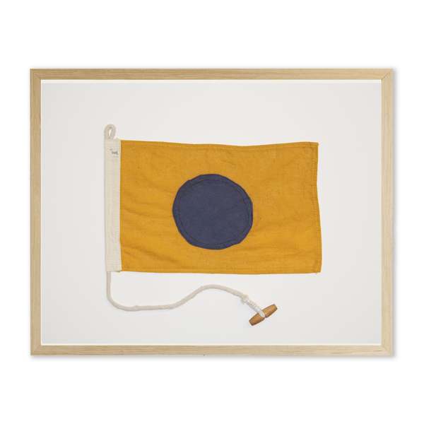 Antique Curiosities 498I Framed Print