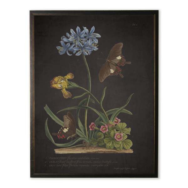 Antique Curiosities Blue Flower with Black Butterflies Print in Copper and Black Frame Print