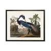 Antique Curiosities Blue Heron Framed Print - Thumbnail 1