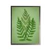 Antique Curiosities Fern in Silver Frame Framed Print - Thumbnail 1