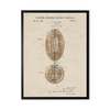 Antique Curiosities Football Patent Framed Print - Thumbnail 1
