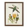 Antique Curiosities Hummingbirds and Yellow Flower in Bronze-Beaded Frame Framed Print - Thumbnail 1