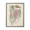 Antique Curiosities Pink Flower in Silver-Beaded Frame Framed Print - Thumbnail 1
