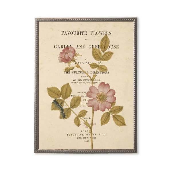 Antique Curiosities Pink Flowers On Book Page Framed Print