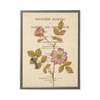 Antique Curiosities Pink Flowers On Book Page Framed Print - Thumbnail 1