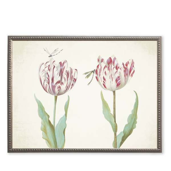Antique Curiosities Pink Flowers with Two Dragonflies Framed Print