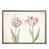 Antique Curiosities Pink Flowers with Two Dragonflies Framed Print - Thumbnail 1