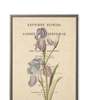 Antique Curiosities Purple Flower on Book Page Framed Print - Thumbnail 1