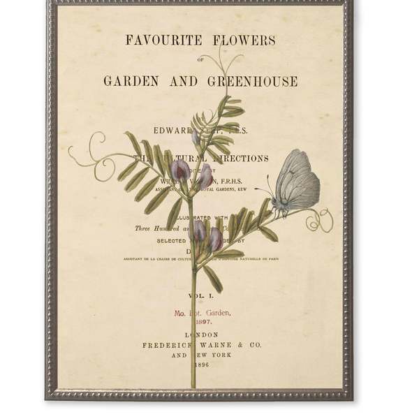 Antique Curiosities Purple Flowers and Moth on Book Page Framed Print