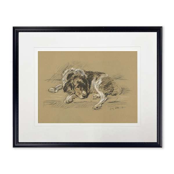 Antique Curiosities Sketched Dog Print in Black Frame Print