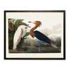 Antique Curiosities Two Herons Framed Print - Thumbnail 1