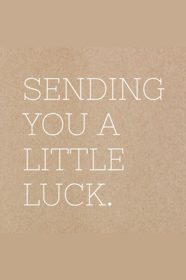 Bear + Scout Upcycled Lucky Horseshoes Decor