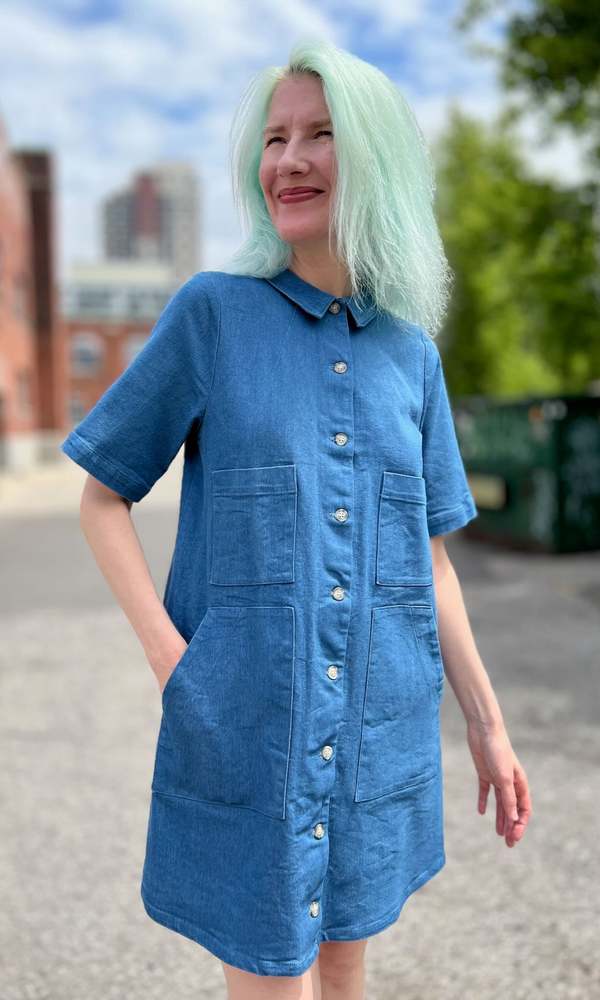 Birds of North America Turr Dress - Medium Wash