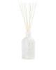 Antica Farmacista Lush Palm Diffuser - White - Thumbnail 1