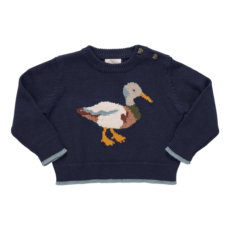 Pink Chicken Baby Boy Noah Jumper