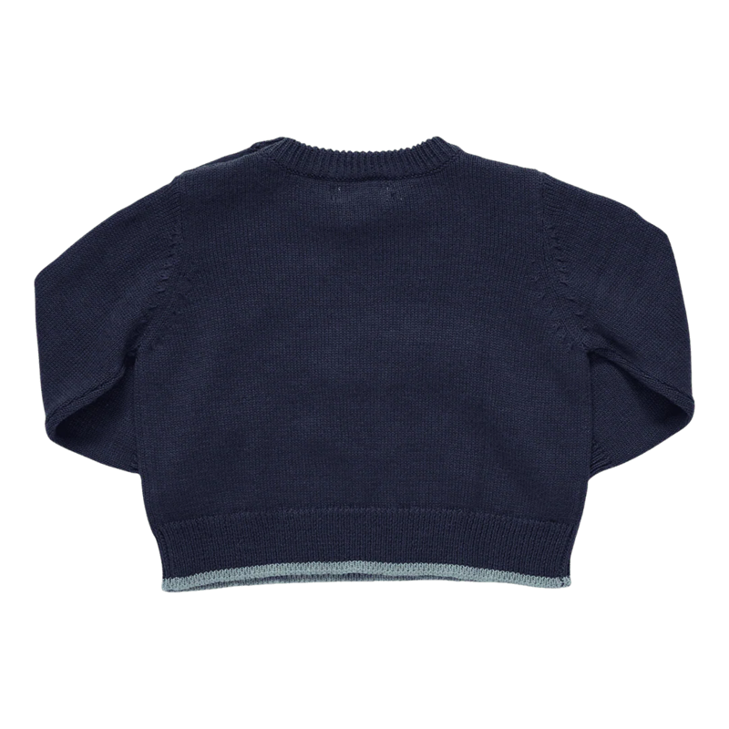 Pink Chicken Baby Boy Noah Jumper