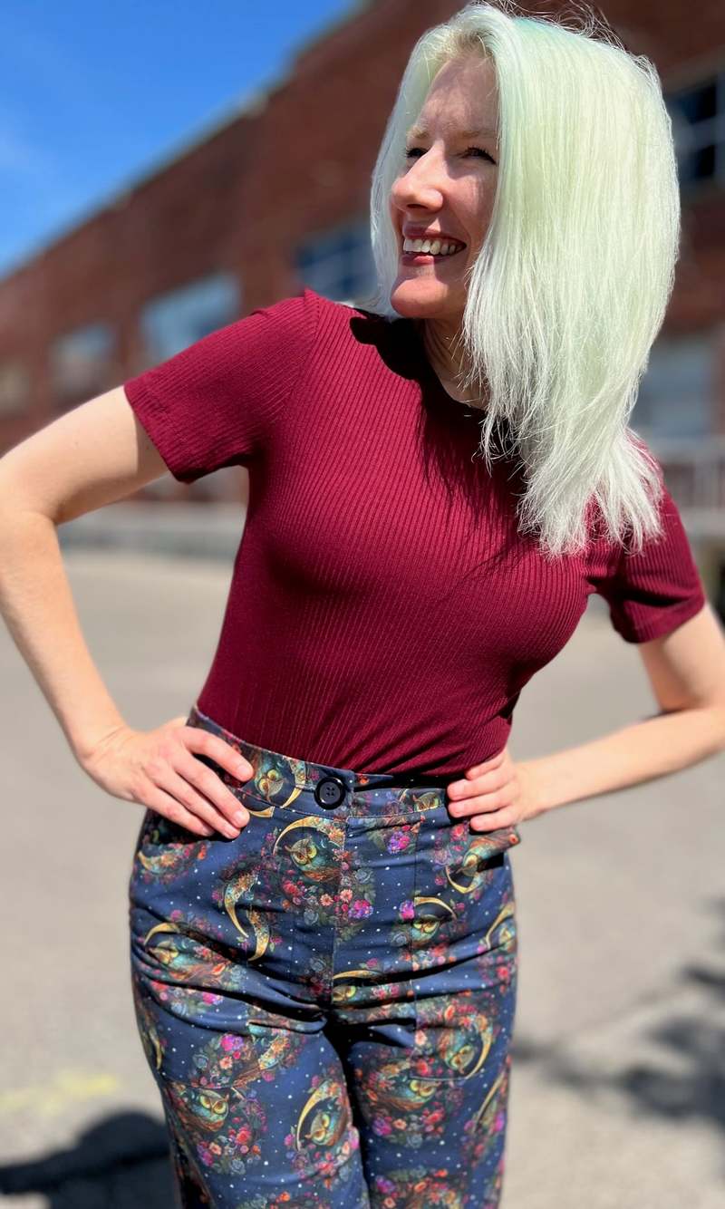 Birds of North America Dipper Top