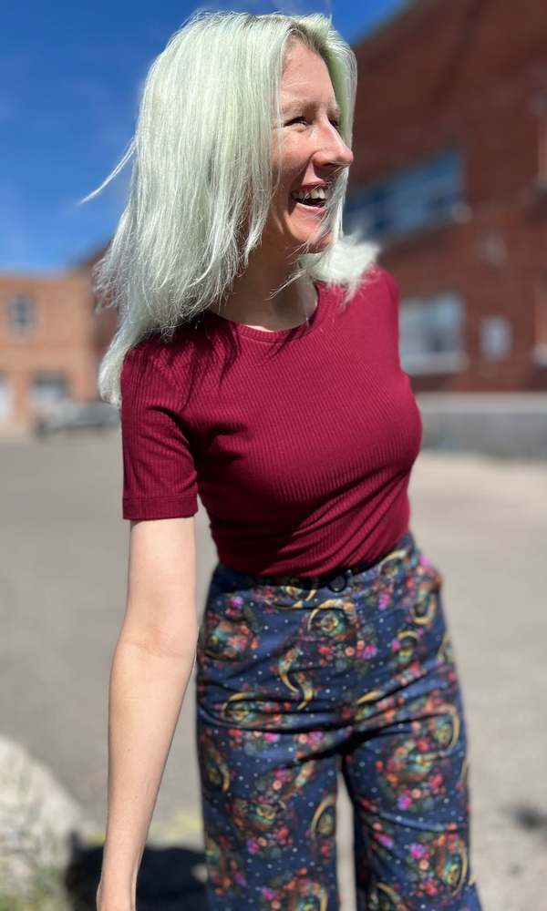 Birds of North America Dipper Top