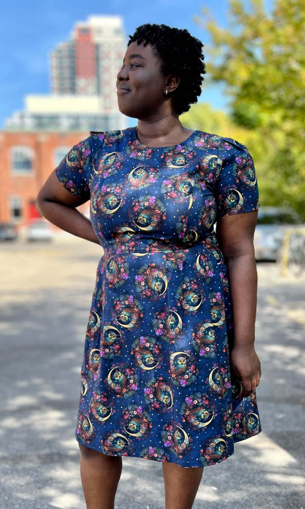 Birds of North America Buttonquail Dress