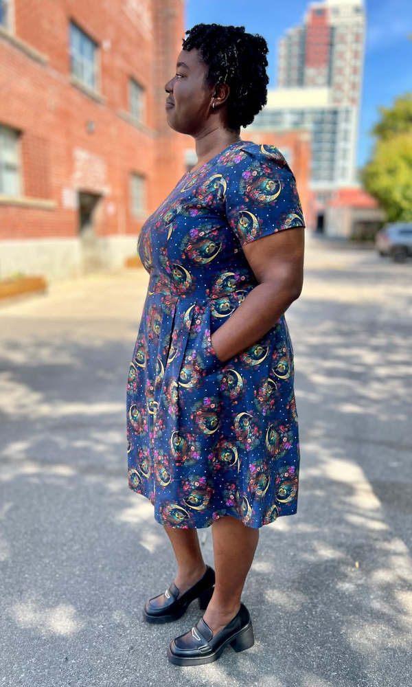 Birds of North America Buttonquail Dress