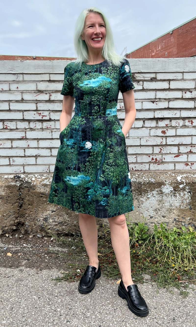 Birds of North America Buttonquail Dress