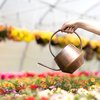 Ten Thousand Villages Antique Copper Watering Can - Thumbnail 2