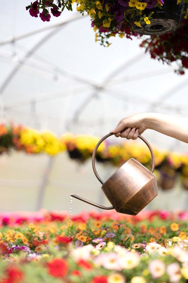 Ten Thousand Villages Antique Copper Watering Can