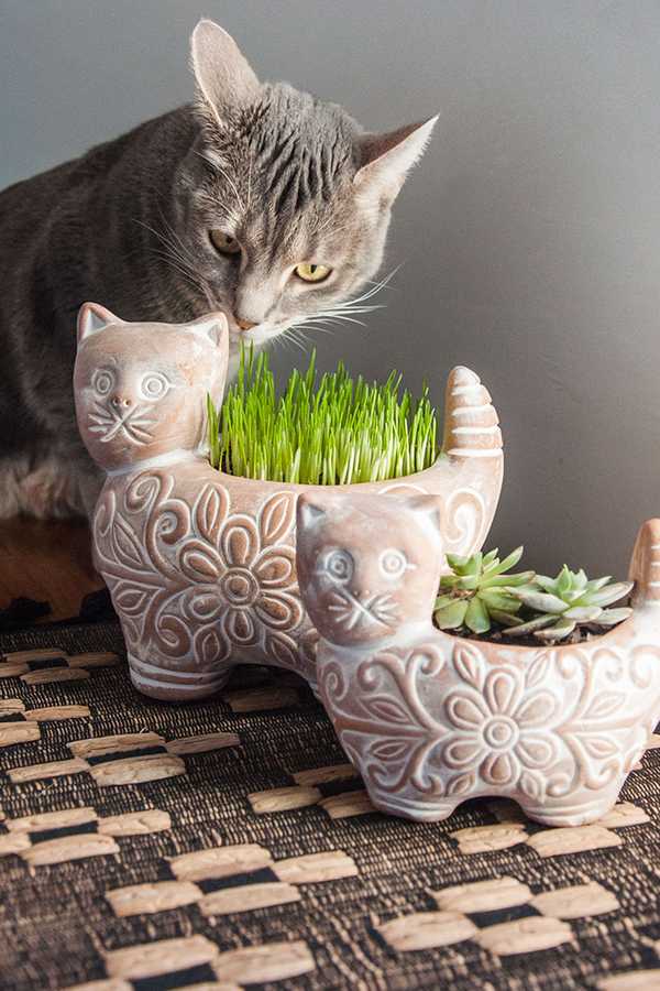 Ten Thousand Villages Garden Kitty Planter