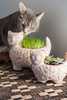 Ten Thousand Villages Garden Kitty Planter - Thumbnail 11