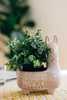 Ten Thousand Villages Llama Terracotta Planter - Thumbnail 9