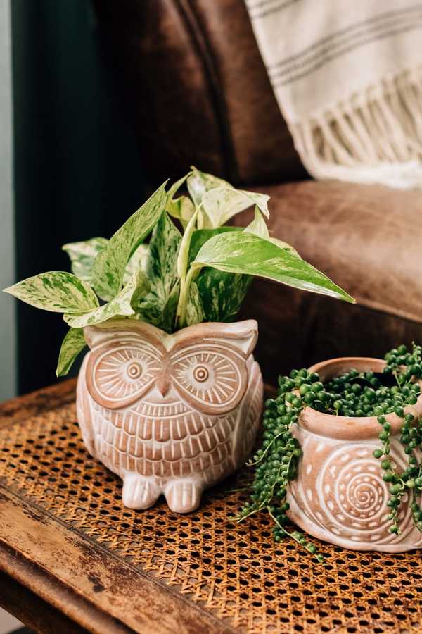 Ten Thousand Villages Owl Planter