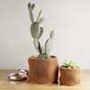 Modernized Pottery Bubbly Planter - Thumbnail 6