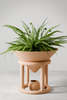 Modernized Pottery Funnel Planter - Thumbnail 1