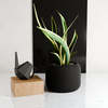 Modernized Pottery Orbis Planter - Thumbnail 4