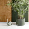 Modernized Pottery Orbis Planter - Thumbnail 6