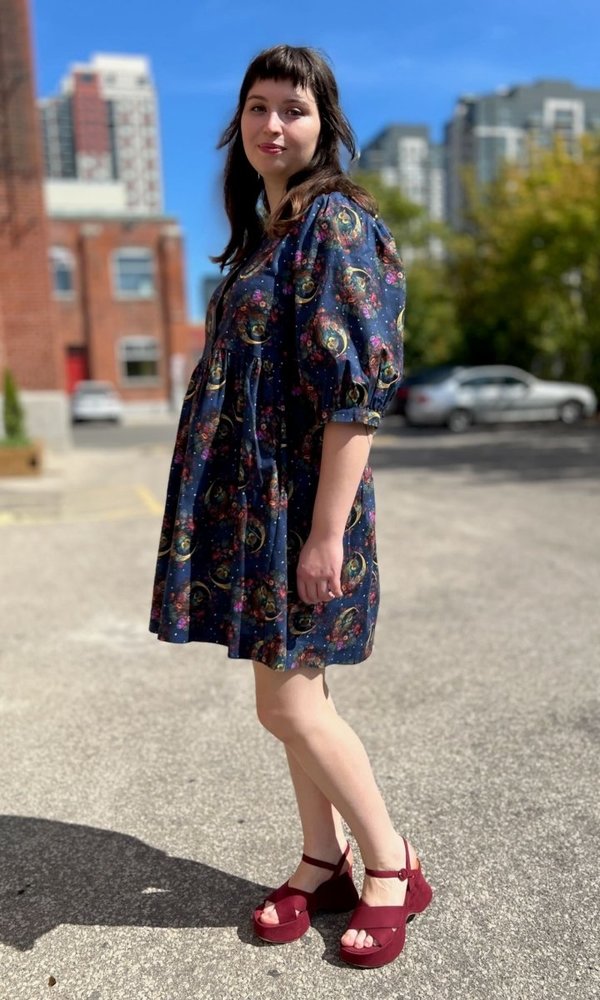 Birds of North America Cinnamon Bittern Dress