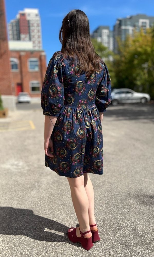 Birds of North America Cinnamon Bittern Dress