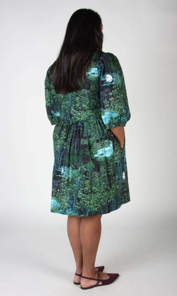 Birds of North America Cinnamon Bittern Dress (Sleepwalker)