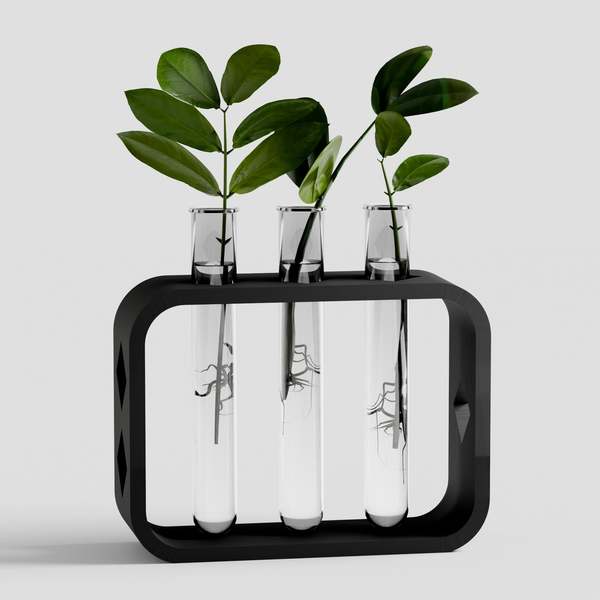 Modernized Pottery Dynamic Propagation Station