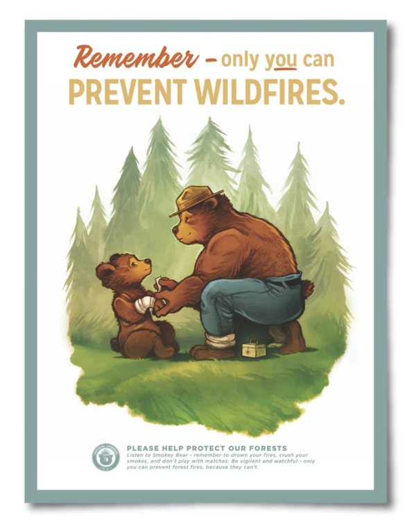 The Landmark Project Prevent Wildfires Poster