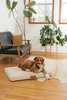 Lay Lo Modern Dog Bed or Bed Cover - Thumbnail 5