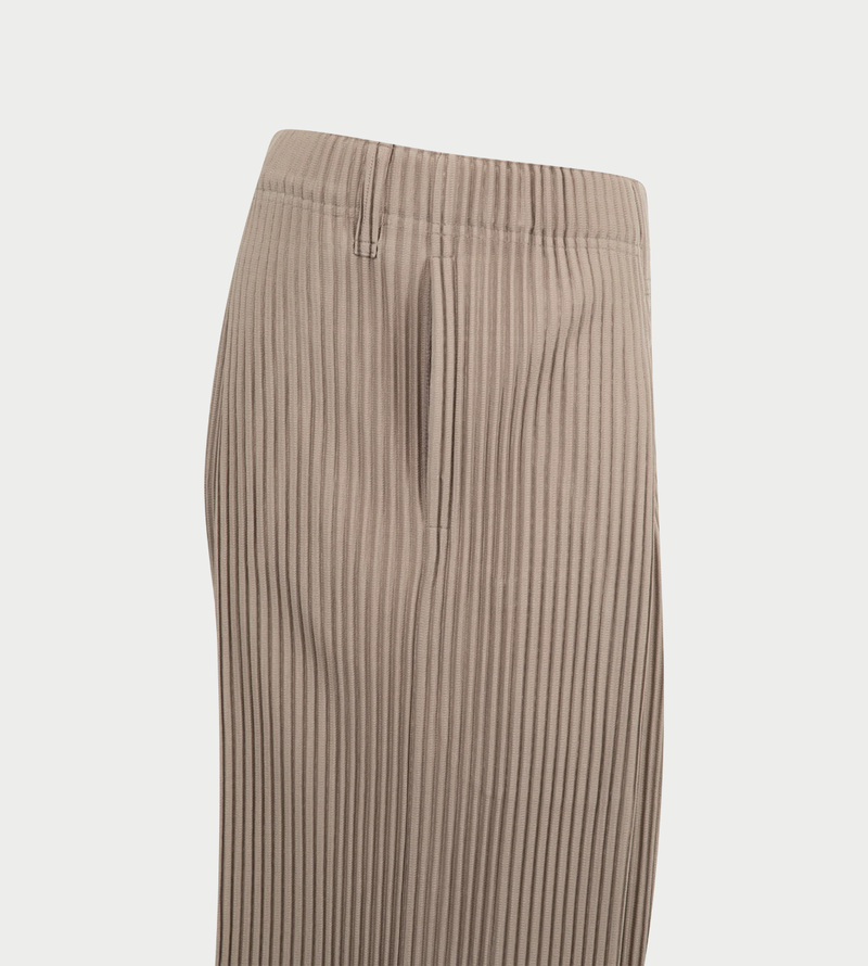Issey Miyake Tailored Pleats Pants Riverside Grey